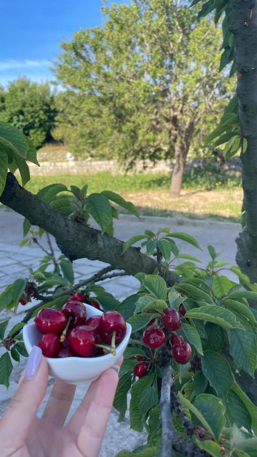오트란토 Bio&B Acquaviva B&B 외부 사진